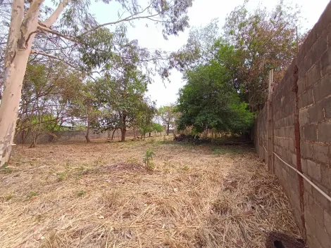 imagem 2 - Terrenos - LoteTerreno imagem 2 - Terrenos - LoteTerreno