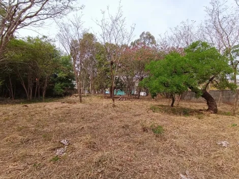 imagem 5 - Terrenos - LoteTerreno imagem 5 - Terrenos - LoteTerreno