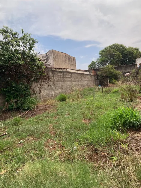 imagem 4 - Terreno para venda no bairro Jardim Salgado Filho, em Ribeirão Preto imagem 4 - Terreno para venda no bairro Jardim Salgado Filho, em Ribeirão Preto