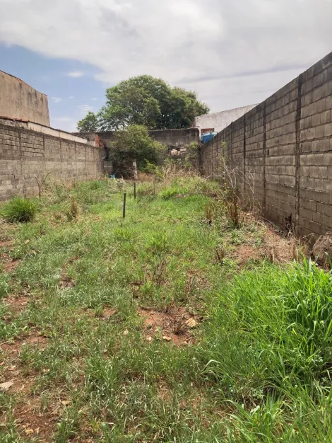 imagem 3 - Terreno para venda no bairro Jardim Salgado Filho, em Ribeirão Preto imagem 3 - Terreno para venda no bairro Jardim Salgado Filho, em Ribeirão Preto
