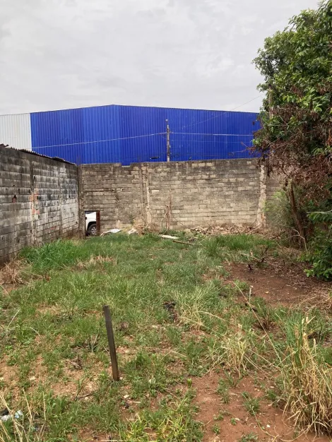 imagem 5 - Terreno para venda no bairro Jardim Salgado Filho, em Ribeirão Preto imagem 5 - Terreno para venda no bairro Jardim Salgado Filho, em Ribeirão Preto