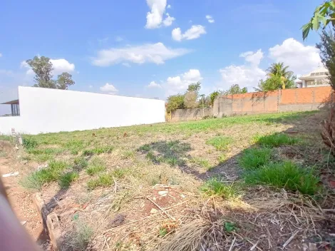 imagem 1 - Terreno misto para Locação no Bairro City Ribeirão, em Ribeirão Preto imagem 1 - Terreno misto para Locação no Bairro City Ribeirão, em Ribeirão Preto