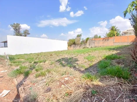 imagem 2 - Terreno misto para Locação no Bairro City Ribeirão, em Ribeirão Preto imagem 2 - Terreno misto para Locação no Bairro City Ribeirão, em Ribeirão Preto