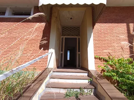 imagem 4 - Casa para Locação no Bairro Jardim Sumaré, em Ribeirão Preto imagem 4 - Casa para Locação no Bairro Jardim Sumaré, em Ribeirão Preto