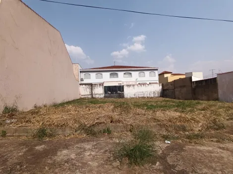 imagem 1 - Terrenos - LoteTerreno imagem 1 - Terrenos - LoteTerreno