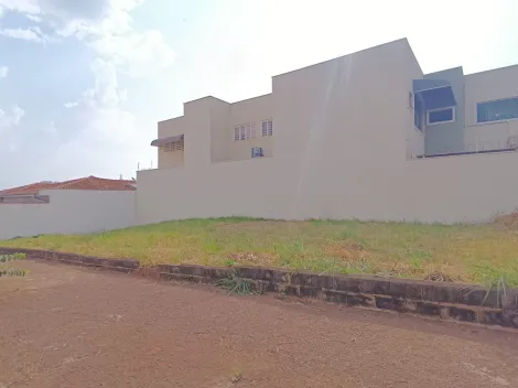 imagem 1 - Terrenos - LoteTerreno imagem 1 - Terrenos - LoteTerreno