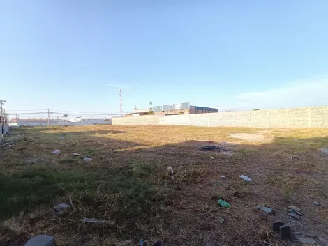 imagem 3 - Terrenos - LoteTerreno imagem 3 - Terrenos - LoteTerreno