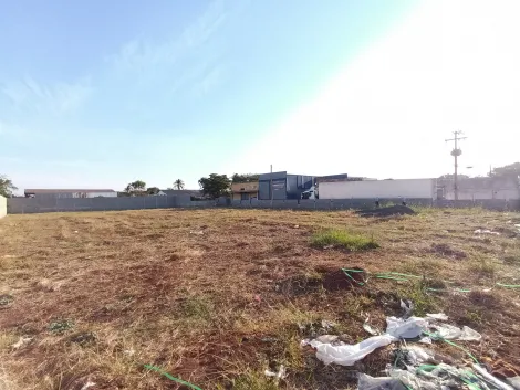 imagem 4 - Terrenos - LoteTerreno imagem 4 - Terrenos - LoteTerreno