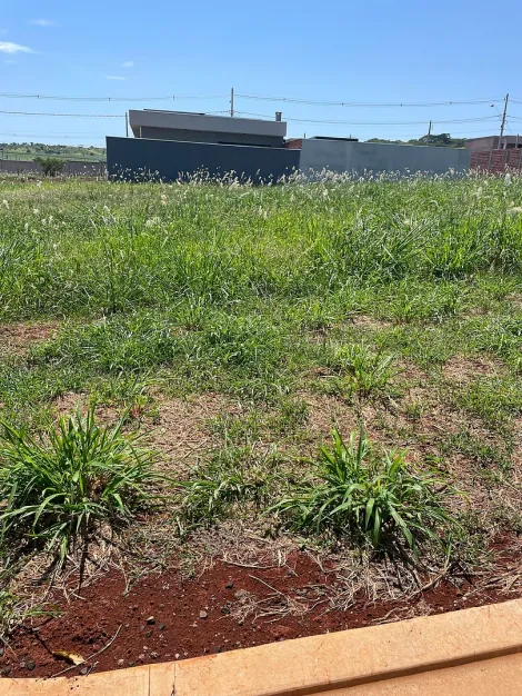 imagem 3 - Terrenos - Condomínio imagem 3 - Terrenos - Condomínio