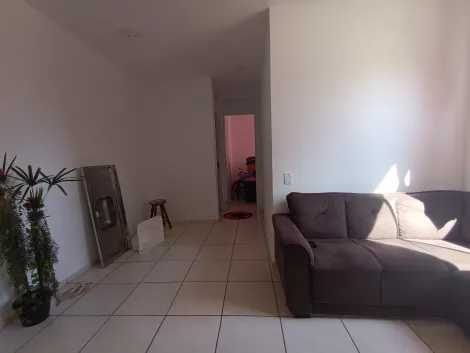 imagem 3 - Apartamentos - Padrão imagem 3 - Apartamentos - Padrão