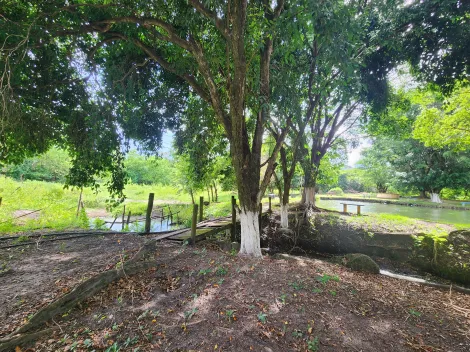 imagem 3 - Chácaras/Imóveis Rurais - RanchoSítio imagem 3 - Chácaras/Imóveis Rurais - RanchoSítio