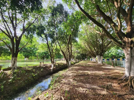 imagem 2 - Chácaras/Imóveis Rurais - RanchoSítio imagem 2 - Chácaras/Imóveis Rurais - RanchoSítio