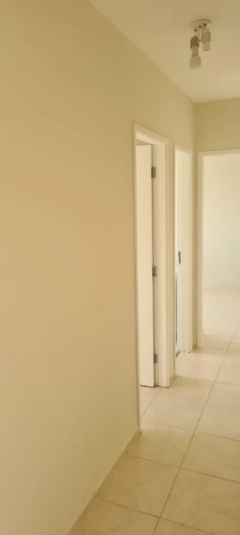 imagem 2 - Apartamentos - Padrão imagem 2 - Apartamentos - Padrão