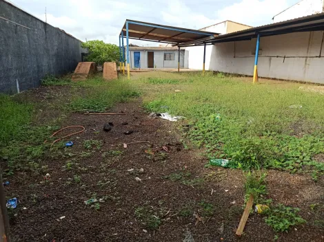 Alugar Terrenos / LoteTerreno em Ribeirão Preto. apenas R$ 335.000,00