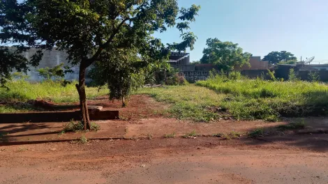 imagem 1 - Terreno para Venda no Bairro Vila Brasil em Ribeirão Preto/SP. imagem 1 - Terreno para Venda no Bairro Vila Brasil em Ribeirão Preto/SP.