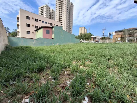 imagem 2 - Terreno misto para Venda e Locação no Bairro Jardim América, em Ribeirão Preto/SP. imagem 2 - Terreno misto para Venda e Locação no Bairro Jardim América, em Ribeirão Preto/SP.
