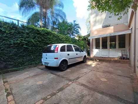 Ribeirão Preto - Jardim Sumaré - Casas Residenciais - Padrão - Locaçao