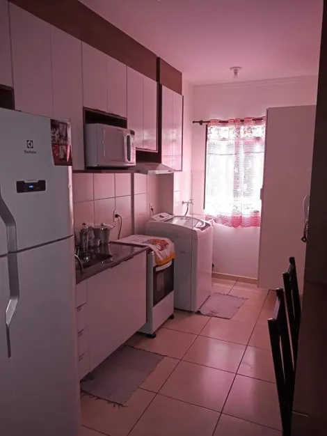 imagem 3 - Apartamentos - Padrão imagem 3 - Apartamentos - Padrão