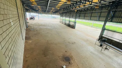 imagem 5 - Imóveis Comerciais - Galpão Comercial imagem 5 - Imóveis Comerciais - Galpão Comercial