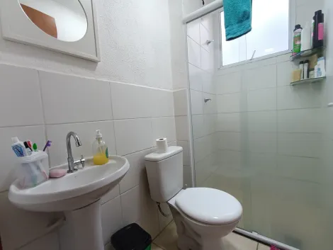 imagem 5 - Apartamentos - Padrão imagem 5 - Apartamentos - Padrão