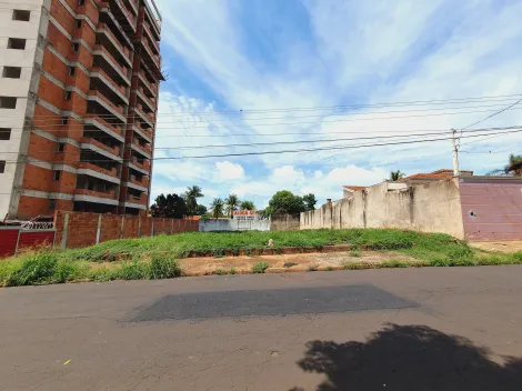 imagem 1 - Terreno misto para Locação no Bairro Ribeirânia em Ribeirão Preto/SP. imagem 1 - Terreno misto para Locação no Bairro Ribeirânia em Ribeirão Preto/SP.
