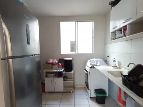 imagem 4 - Apartamento Padrão para locação no Bairro Jardim José Figueira, em Ribeirão Preto/SP. imagem 4 - Apartamento Padrão para locação no Bairro Jardim José Figueira, em Ribeirão Preto/SP.