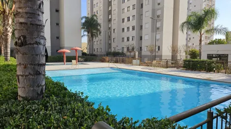imagem 1 - Apartamentos - Padrão imagem 1 - Apartamentos - Padrão