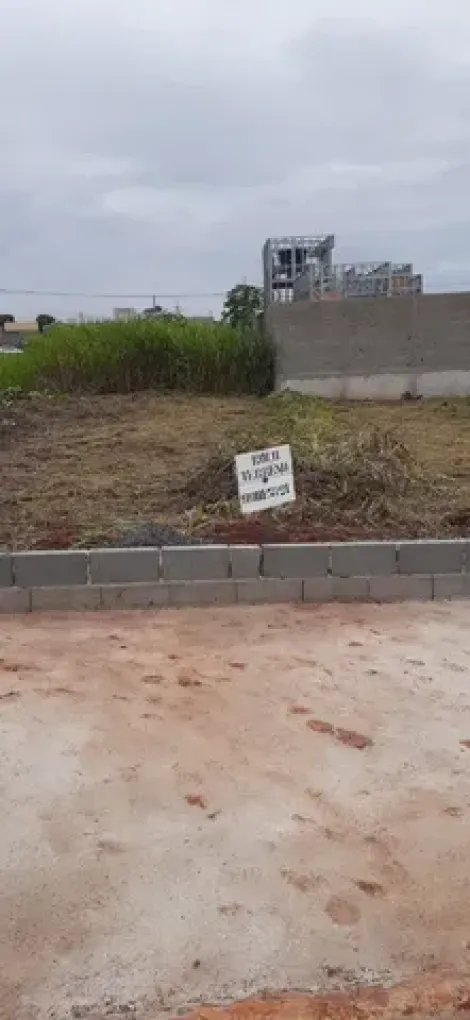 imagem 2 - Terrenos - LoteTerreno imagem 2 - Terrenos - LoteTerreno