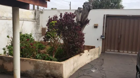 imagem 2 - Monte Alegre, Casa Casa Com Ótimo Terreno imagem 2 - Monte Alegre, Casa Casa Com Ótimo Terreno