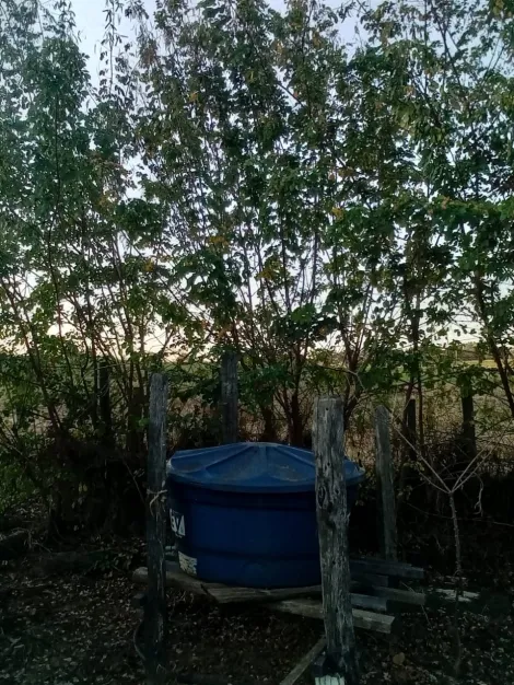 imagem 1 - Chácaras/Imóveis Rurais - RanchoSítio imagem 1 - Chácaras/Imóveis Rurais - RanchoSítio