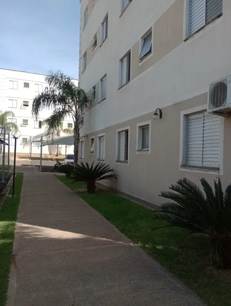 imagem 1 - Apartamento Jardim Jose Sampaio Junior, Ribeirão Preto - SP imagem 1 - Apartamento Jardim Jose Sampaio Junior, Ribeirão Preto - SP