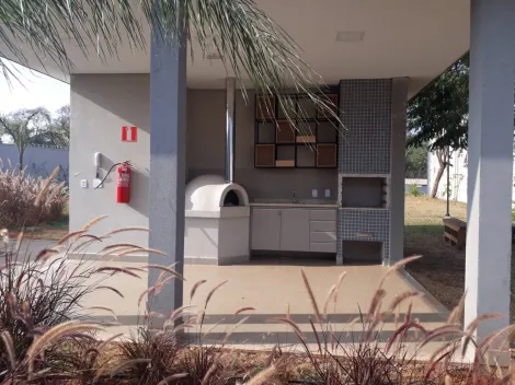 imagem 3 - Apartamento com 2 Quartos à venda, 42m² - Recanto das Palmeiras imagem 3 - Apartamento com 2 Quartos à venda, 42m² - Recanto das Palmeiras