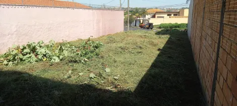 imagem 1 - Terrenos - LoteTerreno imagem 1 - Terrenos - LoteTerreno