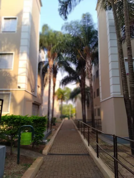 imagem 1 - Apartamento 2 Dormitorio imagem 1 - Apartamento 2 Dormitorio