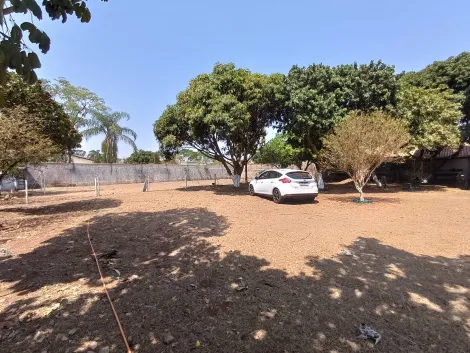 imagem 4 - Casa Padrão para Locação no Bairro Jardim Ouro Branco, em Ribeirão Preto imagem 4 - Casa Padrão para Locação no Bairro Jardim Ouro Branco, em Ribeirão Preto