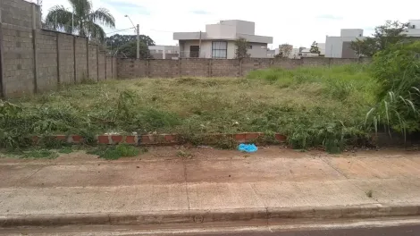 imagem 1 - Terrenos - LoteTerreno imagem 1 - Terrenos - LoteTerreno