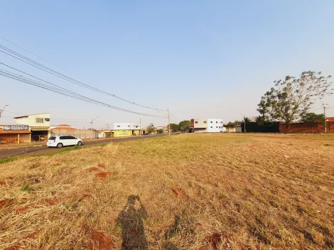imagem 3 - Terrenos/Lote Terreno - Comercial - No bairro Doutor Paulo Gomes Romeo imagem 3 - Terrenos/Lote Terreno - Comercial - No bairro Doutor Paulo Gomes Romeo