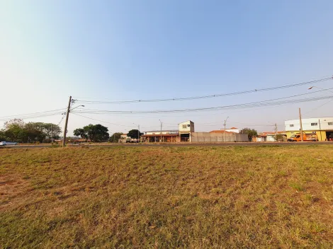 imagem 2 - Terrenos/Lote Terreno - Comercial - No bairro Doutor Paulo Gomes Romeo imagem 2 - Terrenos/Lote Terreno - Comercial - No bairro Doutor Paulo Gomes Romeo