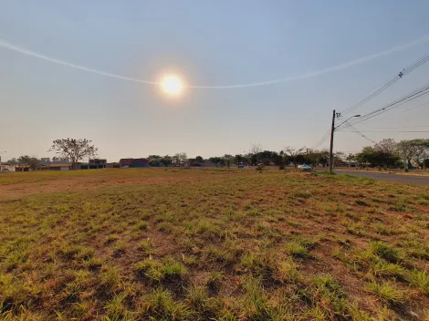 imagem 1 - Terrenos/Lote Terreno - Comercial - No bairro Doutor Paulo Gomes Romeo imagem 1 - Terrenos/Lote Terreno - Comercial - No bairro Doutor Paulo Gomes Romeo