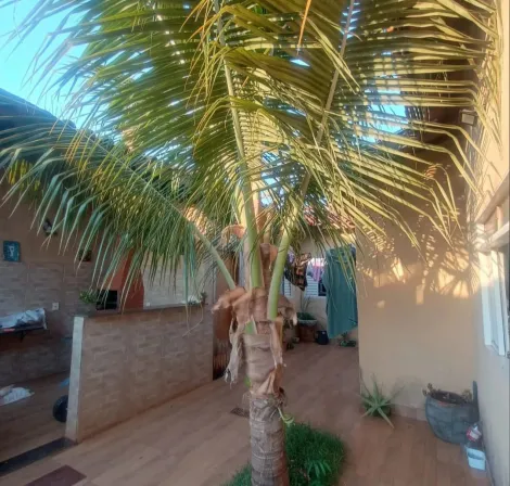 imagem 3 - CASA COM PISCINA EM JARDINÓPOLIS imagem 3 - CASA COM PISCINA EM JARDINÓPOLIS