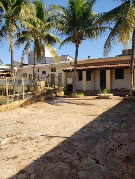 imagem 1 - Área Ampla toda Murada imagem 1 - Área Ampla toda Murada