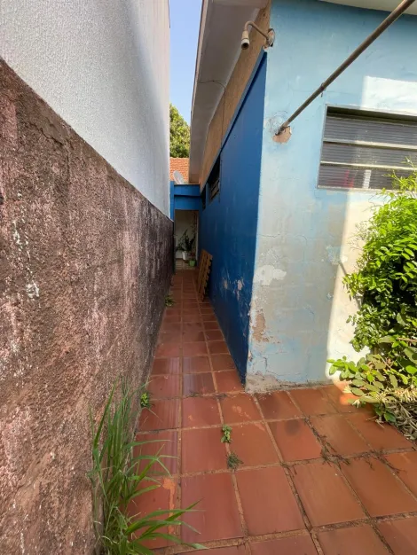 imagem 4 - Casa 3 Dormitórios Vila Tibério imagem 4 - Casa 3 Dormitórios Vila Tibério