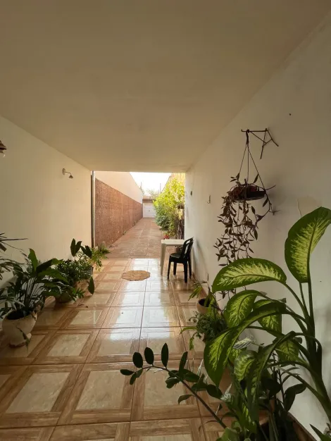 imagem 2 - Casa 3 Dormitórios Vila Tibério imagem 2 - Casa 3 Dormitórios Vila Tibério
