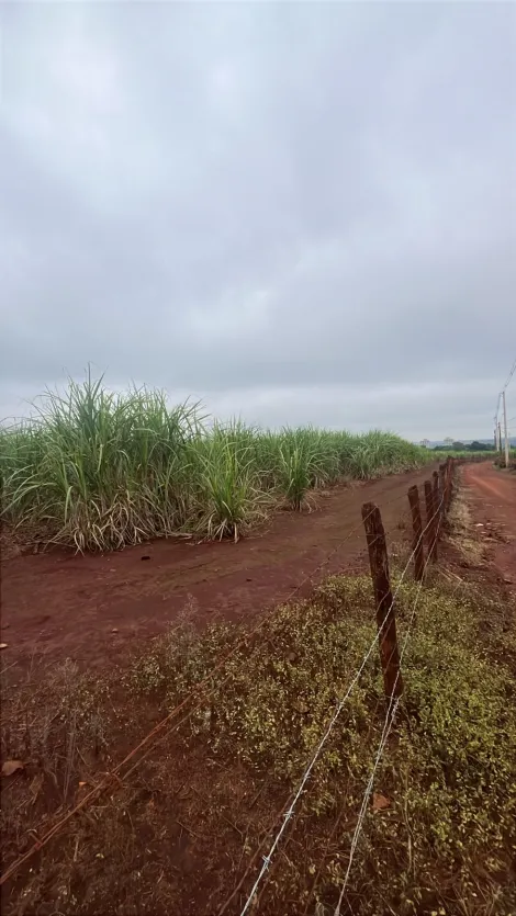 imagem 3 - Terrenos - LoteTerreno imagem 3 - Terrenos - LoteTerreno