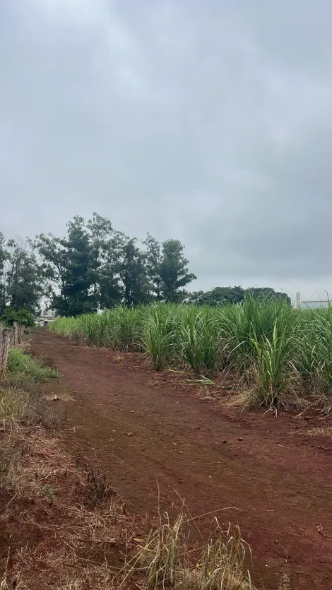 imagem 4 - Terrenos - LoteTerreno imagem 4 - Terrenos - LoteTerreno