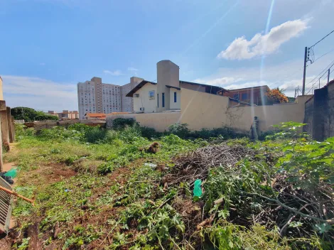 imagem 2 - Terreno na melhor localização no Bairro Ribeirânia - NEGOCIA - imagem 2 - Terreno na melhor localização no Bairro Ribeirânia - NEGOCIA -
