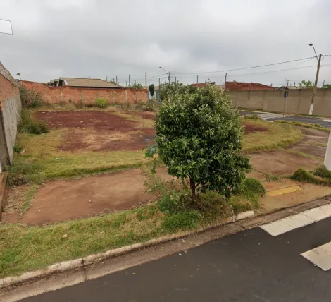 imagem 1 - Terreno Misto para Locação e Venda no Bairro Jardim Cristo Redentor, em Ribeirão Preto SP imagem 1 - Terreno Misto para Locação e Venda no Bairro Jardim Cristo Redentor, em Ribeirão Preto SP