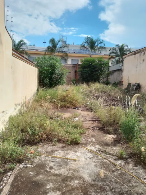imagem 1 - Terreno para venda no Ipiranga em ótimo local próximo a Av. Dom Pedro imagem 1 - Terreno para venda no Ipiranga em ótimo local próximo a Av. Dom Pedro