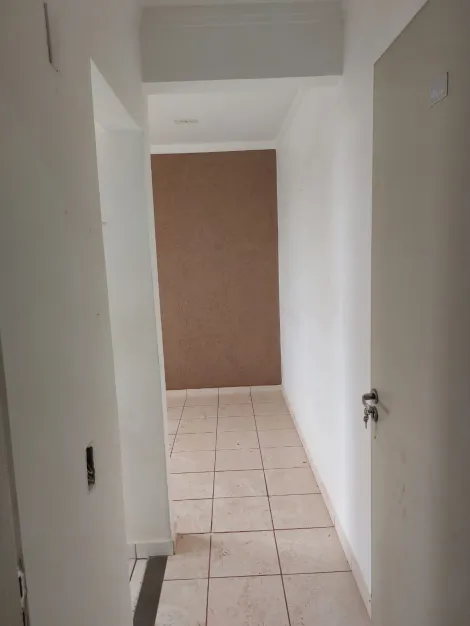imagem 1 - Apartamentos - Studio imagem 1 - Apartamentos - Studio