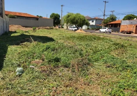 imagem 1 - Terrenos - LoteTerreno imagem 1 - Terrenos - LoteTerreno